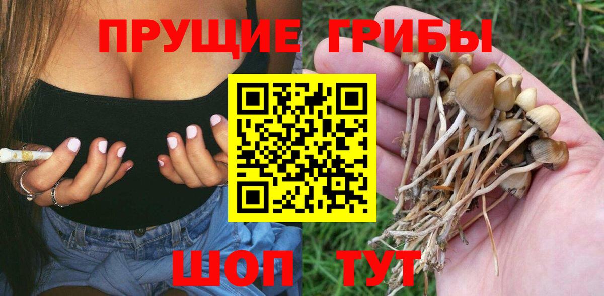 Галлюциногенные грибы мицелий Серпухов